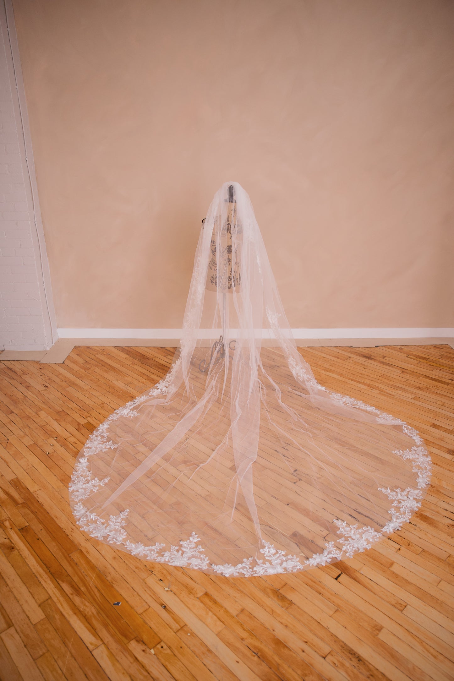 The Reverie Veil